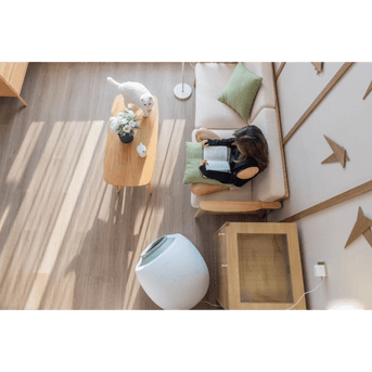 แว่นตากันแดดทรงกลม cho – image 1
